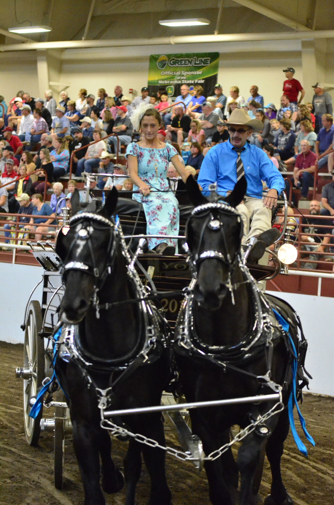 8-25-19 Draft Horse Hitch Final (61).JPG